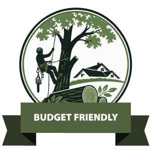 budget-friendly-badge